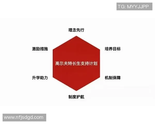 深圳飞盘队耐力挑战与训练方法的深入分析与探讨 深圳飞盘队耐力挑战与训练方法的深入分析与探讨