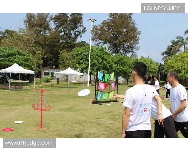 飞盘运动的崛起与挑战：深入探讨上海飞盘队的运营模式与发展策略